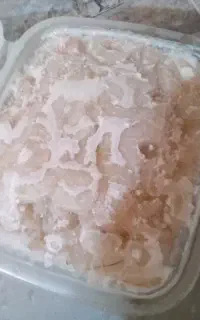 میگو