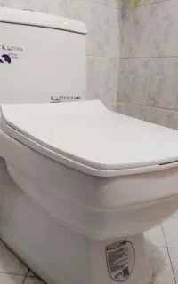 توالت فرنگی