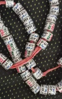 ارومیه پلاک کبوتر جدید