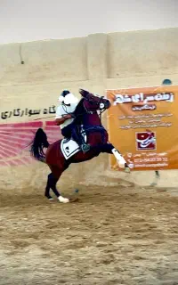 اسب