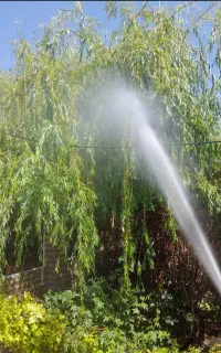 باغبانی سمپاشی .سم شته .سم چربه.وو .هر مناطق مشهد