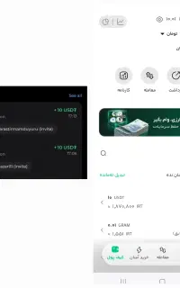 دریافت 10 دلار به راحتی