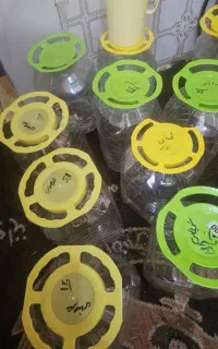 دبه  دسته فرمونی
