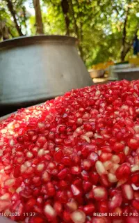 رب انار محلی/رب انار خالص