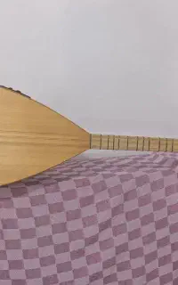 باغلاما نوازی