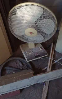 پنکه