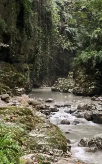 گروه طبیعت گردی و دورهمی مشهد