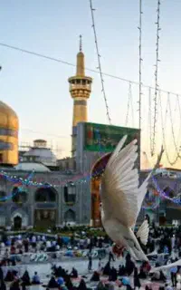 تور زیارتی مشهد مقدس