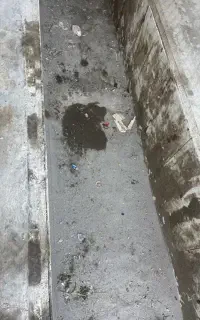نیرو فنی