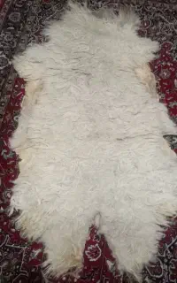 پوست گوسفند