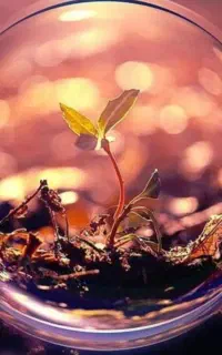 راهنمایی و مشاوره