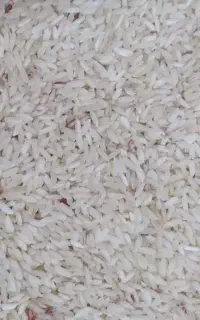 برنج عنبر بو سیروان