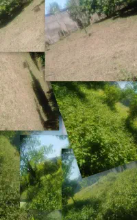 چمنزنی،علفززنی