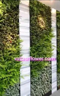گرینوال (دیوارسبزمصنوعی) تحویل فوری و کیفیت بالا