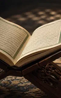 کتاب ف،ا،ل حا،فظ رایگان