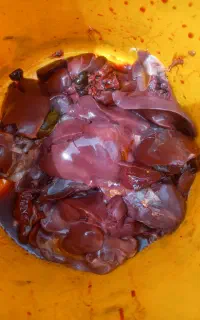 جگر برای ماهی گیری