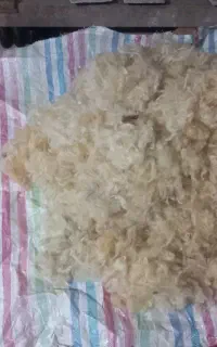 (یون)پشم