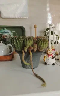 فروش به دلیل نیاز