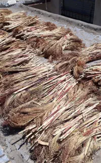 یک عالمه جارو