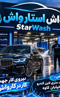نیروی کار کارواش
