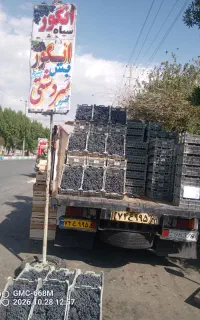 انگور سردشت به شرط داراب بار جدید