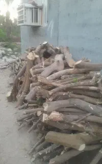 قطع‌درخت‌بااره‌برقی