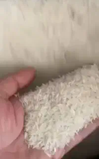 برنج کشت پاکستانی ممتاز
