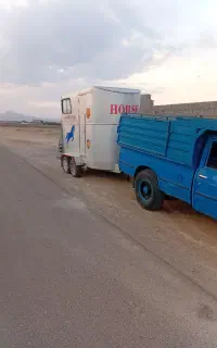 اسب کش دو اسبه