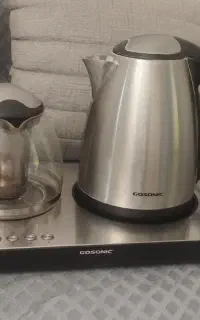 چایساز گوسونیک