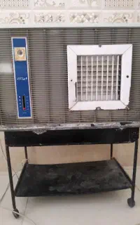 کولرابی ارج سالم