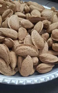 بادام شاهرودی تازه