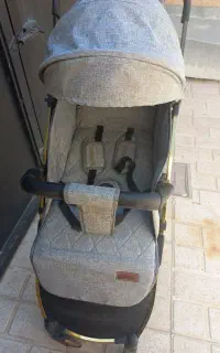 کالسکه ریچ کیدز