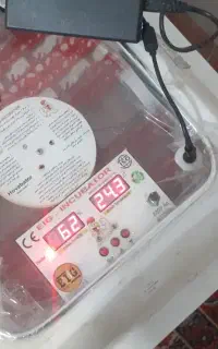 دستگاه جوجه کشی havabator 48تایی