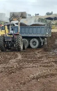 فروش کود گاوی