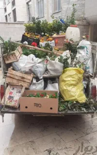باغبانی و سمپاشی قرچک ورامین خاورشهر و...
