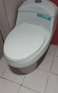 توالت فرنگی