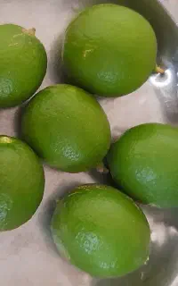 لیمو ترش