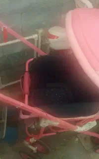 کالسکه چیکو