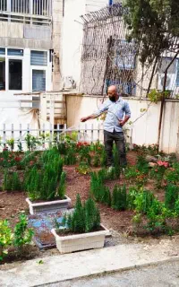 باغبانی باغچه فضای سبز باغ ویلا منزل