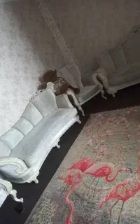 نظافت منزل پله ها و مشاعات