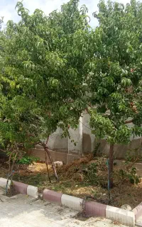 منزل ویلایی