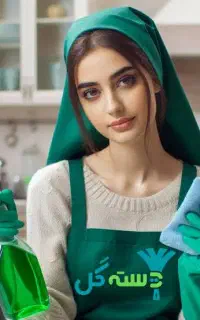 نیرو خانم جهت نظافت کارگاه خانگی