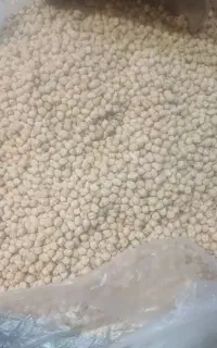 نخود