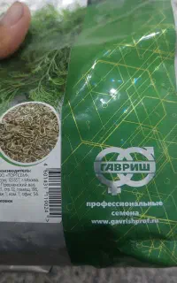 بذر شوید گاوریش