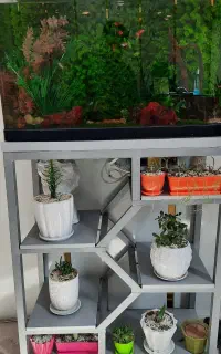 آکواریوم‌ شرکتی و پایه گلخونه ای پایین ترین قیمت