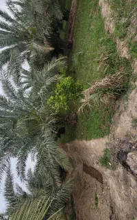 نیاز به کشاورز و باغدار