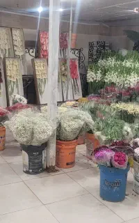 نیازمند نیروی کار جهت سرایداری گلخانه با جای خواب