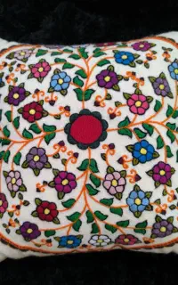 تعدادی پته