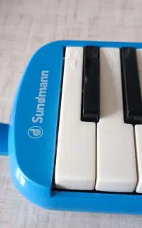 ملودیکا ساندمن کُرُن شده