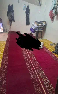قالی کناره دست باف پشمی دونه ۲۵۰۰